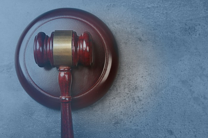 Civil rights litigation