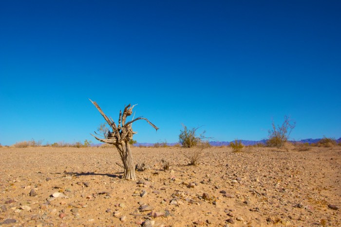 It’s official, the EPA is now Anti-Sunlight · ClimateViewer News It’s official, the EPA is now Anti-Sunlight · ClimateViewer News